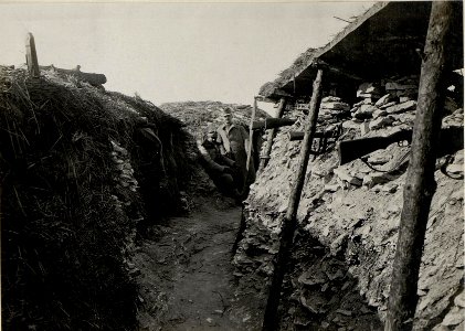 Schützengraben mit gedeckten Unterständen in der Gefechtsstellung des I.R.4, westlich von Ossova. (BildID 15539859)
