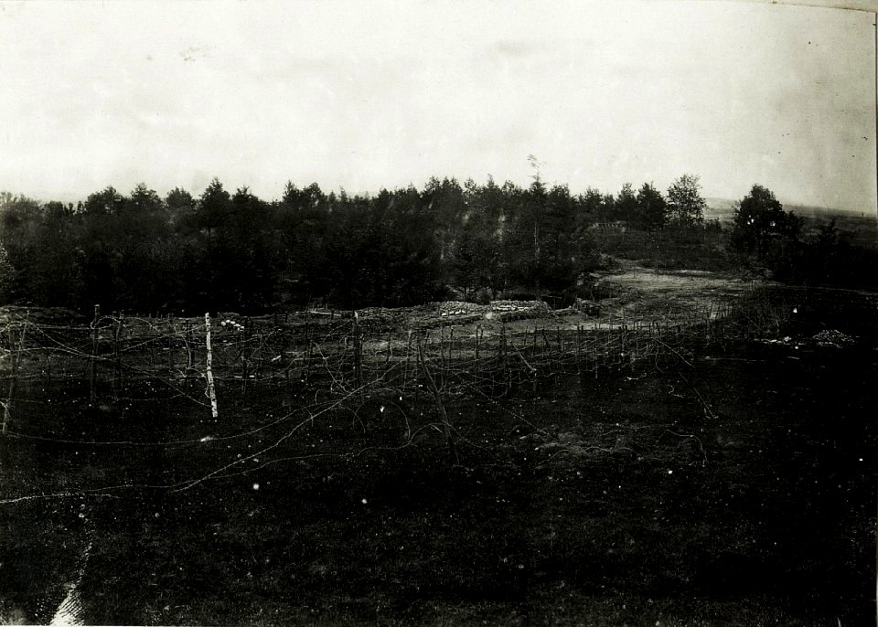 Schützengraben und Drahthindernis, 14. Infanterieregiment. (BildID 15592792)