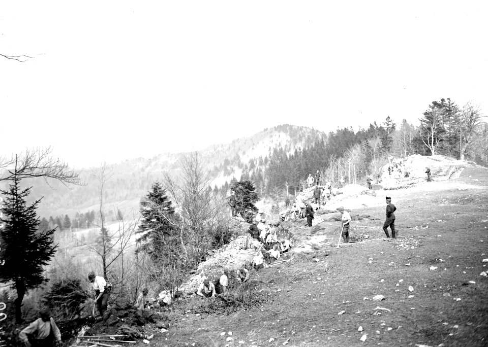 Schützengrabenbau auf Pkt. 954 bei Basuelle - CH-BAR - 3240455
