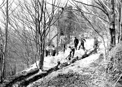 Schützengrabenbau im Wald - CH-BAR - 3240451