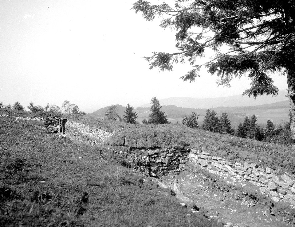 Schützengräben am Hang von Les Ordons - CH-BAR - 3236528