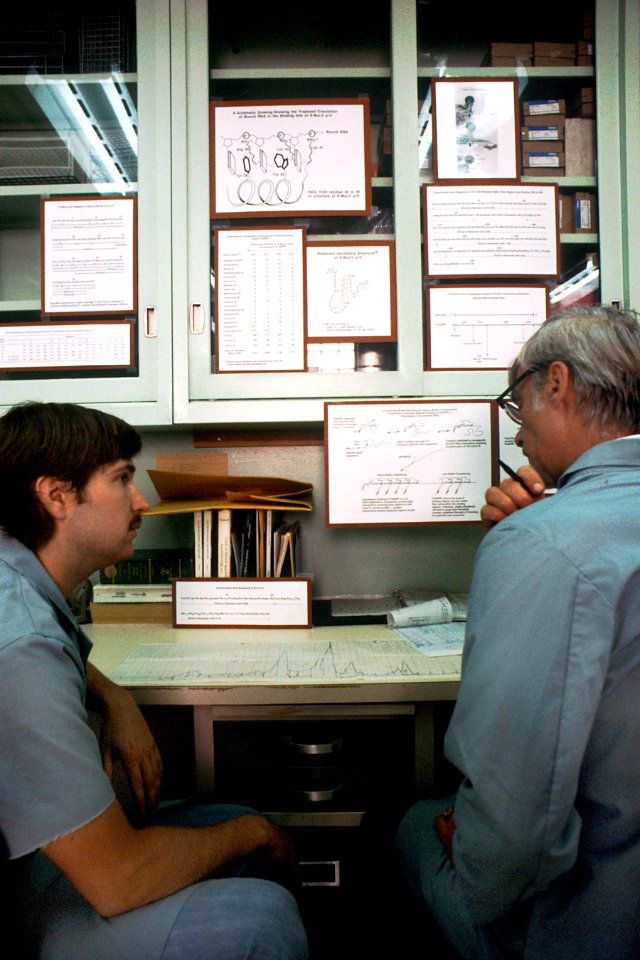 Scientists examine a graph
