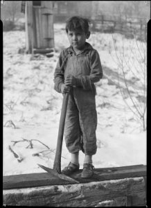 Scotts' Run, West Virginia. Miner's child digging coal from mine refuse (Mexican). Bertha Hollow. - NARA - 518361