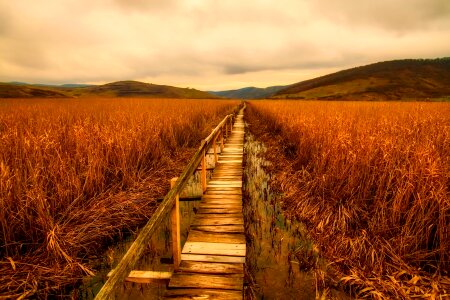 Marsh marshland mountains photo