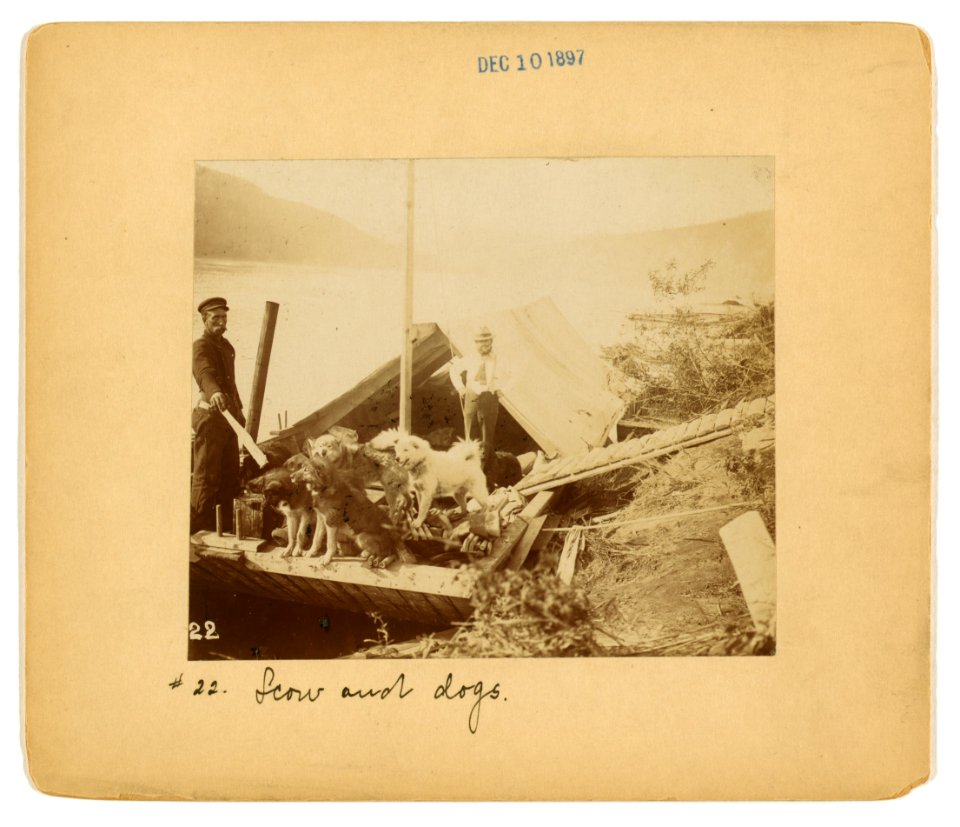 Scow and dogs LCCN2005680645