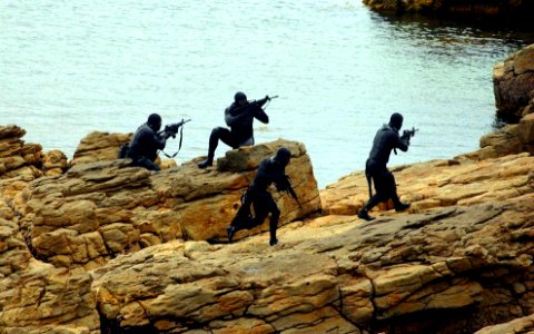 Seals at a rock beach photo