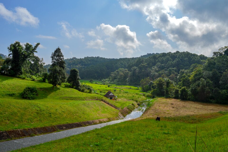 Plant nature farm