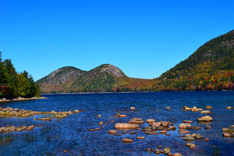 Trees mountains water