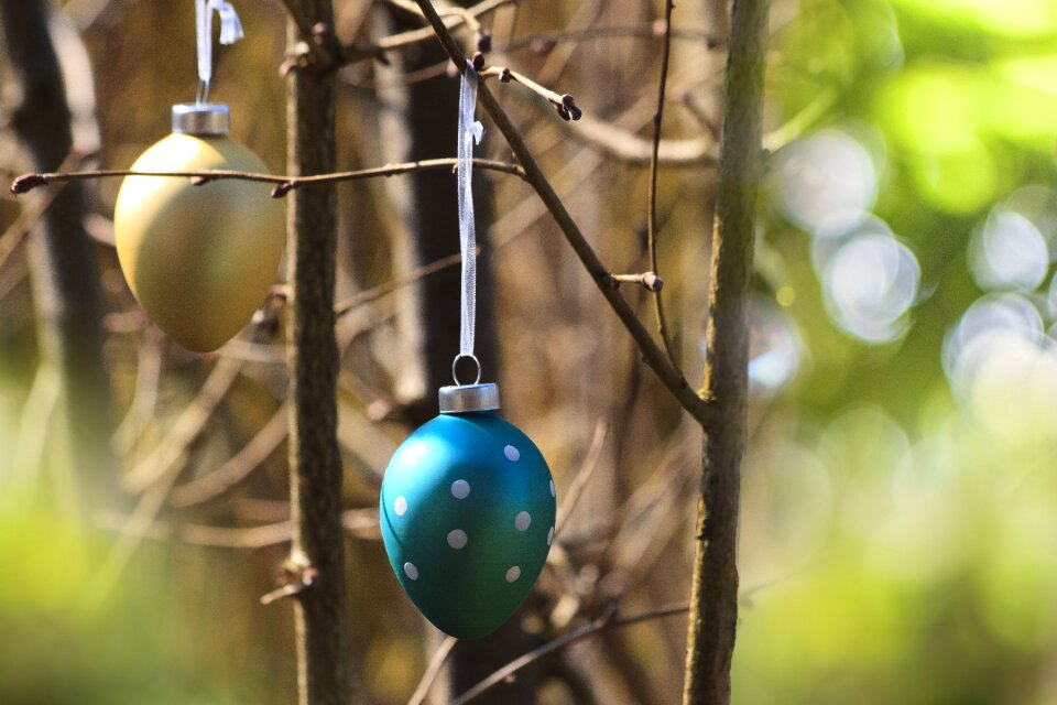 Turquoise points nature