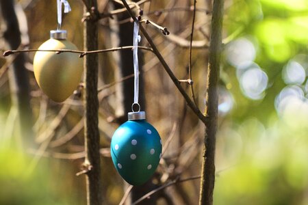 Turquoise points nature