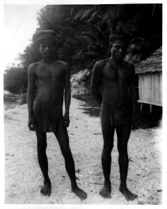 Seaseamän, trakten av Lolautang, nrdöstra Celebes. Banggaai, Sulawesi, Peleng, Kabupaten Banggai - SMVK - 000186