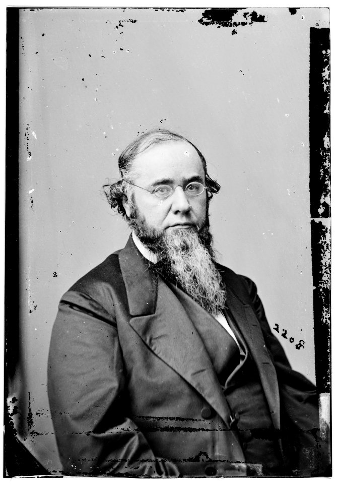 Sec. Edwin Stanton LOC cwpb.06438