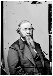 Sec. Edwin Stanton LOC cwpb.06438