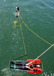 Search and rescue swimmer exercise 140521-N-BB534-208