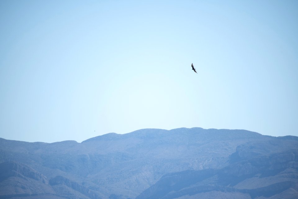 SEAC visits Southern Border (47974255282)