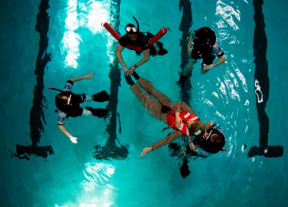 Search and rescue swimmers train. (8557285867)