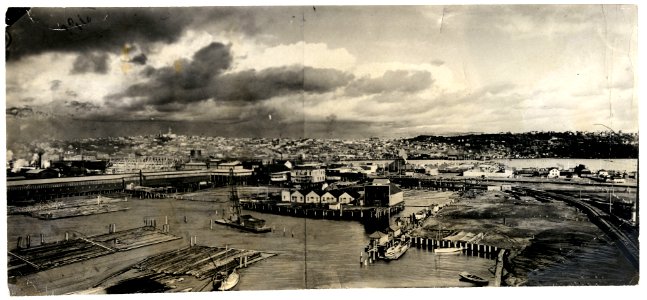 Seattle, Washington tide flats, 1902 (6095677130) photo