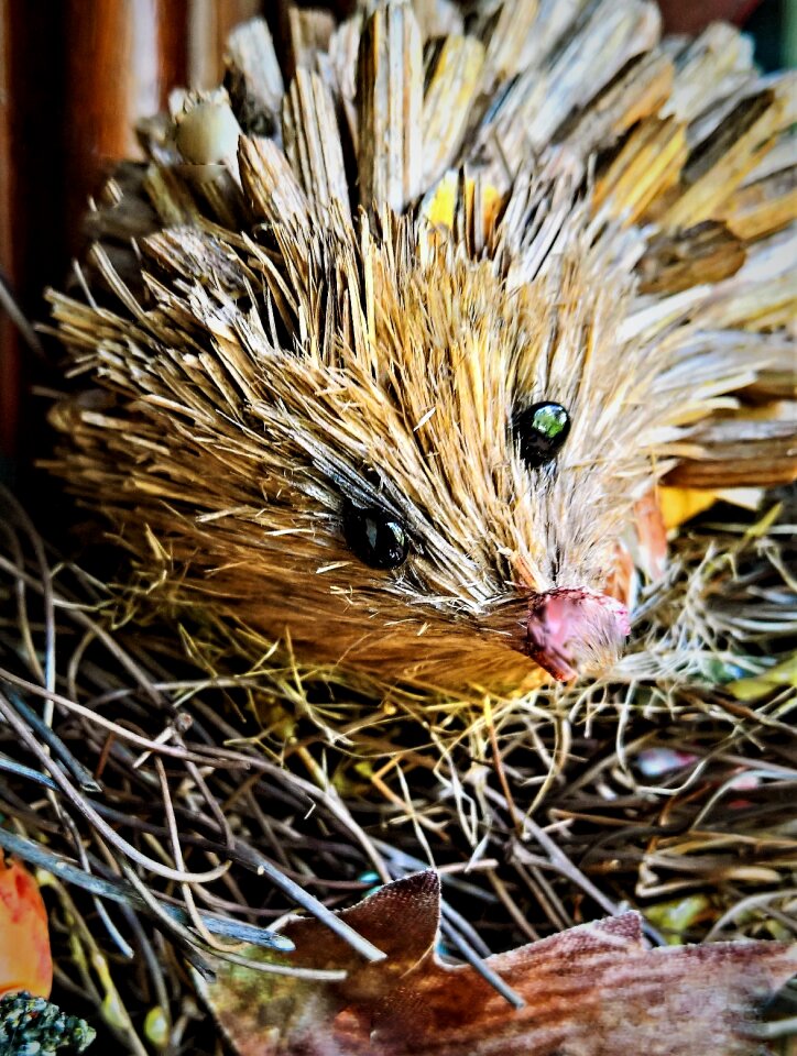 Decoration button eyes prickly