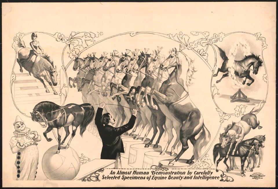 An almost human demonstration by carefully selected specimen of equine beauty and intelligence LCCN2018647625