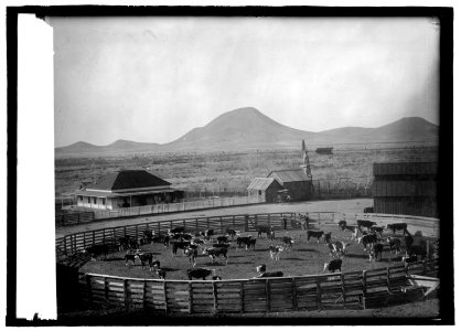 An American ranch in Mexico LCCN2016821178