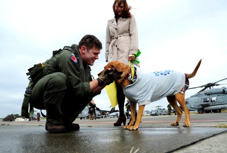 An aviator greets his dog after returning home. (8205187409)