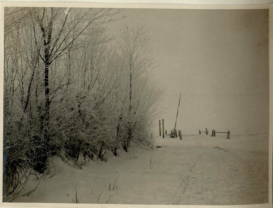 An der Eisenbahnstrecke bei Tabarasti.6.2.1917 (BildID 15545084)