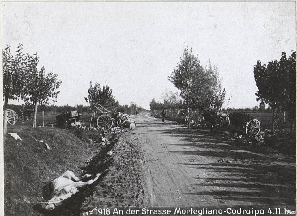 An der Strasse Mortegliano-Codroipo 4.11.17. (BildID 15610253)