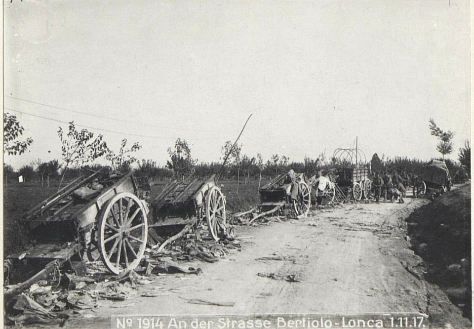An der Strasse Bertiolo-Lonca 1.11.17. (BildID 15610225)