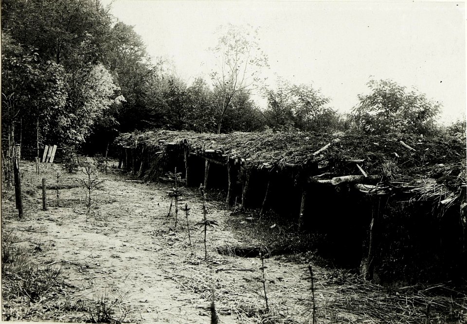 An der Zlota Lipa, Eigene Schützenstände im Walde (BildID 15432602)