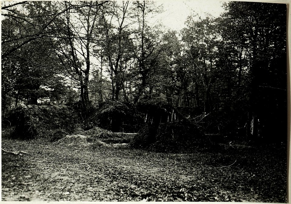 An der Zlota Lipa.Eigene Lagerhütten im Walde östl.Panowice (BildID 15432441)