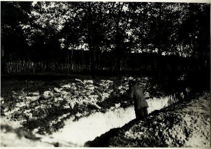 An der Zlota Lipa.vorbereitete Schützengräben im Walde Zawalow. (BildID 15432448)