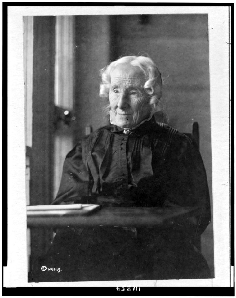 Anna B. Warner, half-length portrait, seated, facing slightly left LCCN94508956