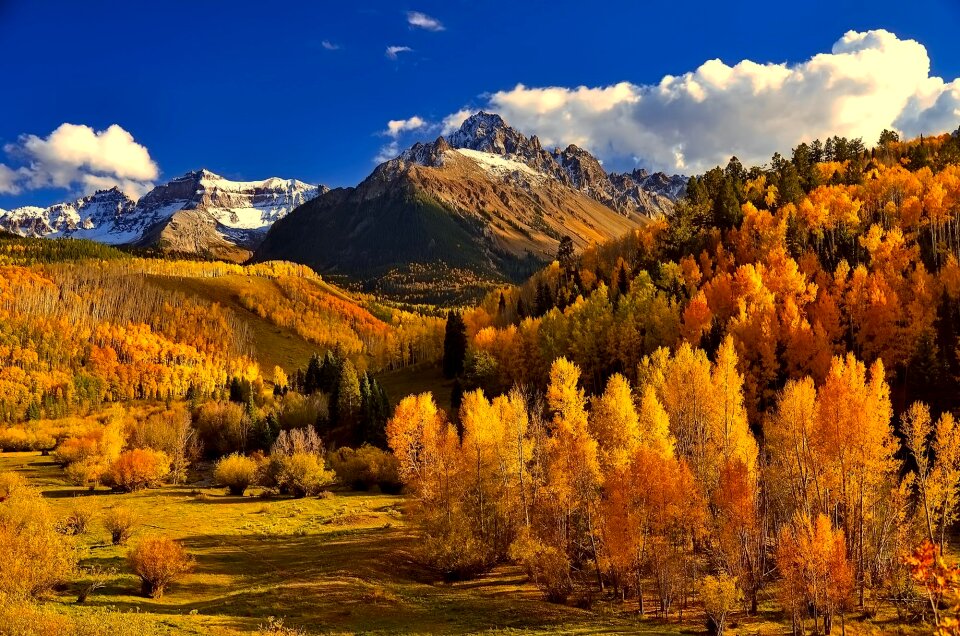 Colorful foliage mountains