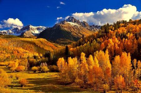 Colorful foliage mountains