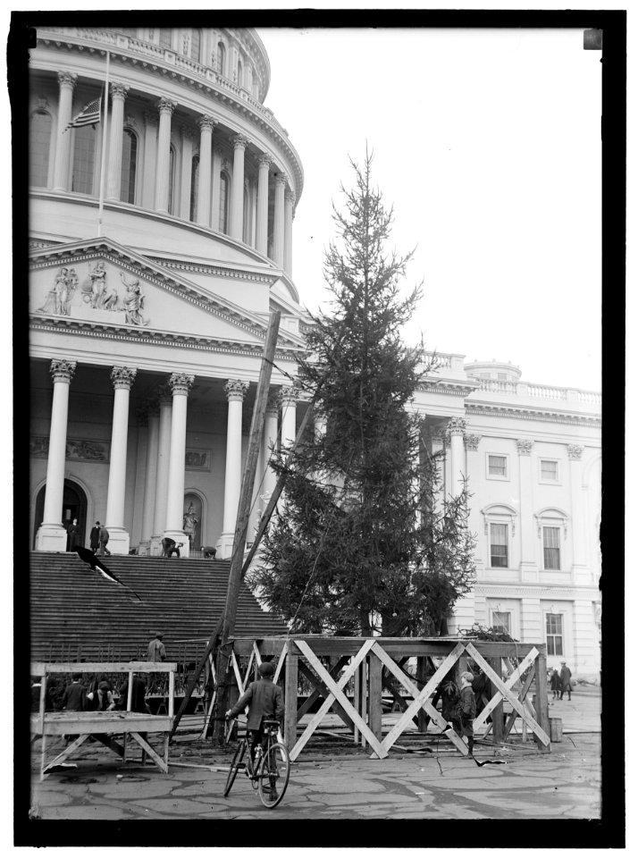 CHRISTMAS TREES. CHRISTMAS TREE AT CAPITOL LCCN2016865145