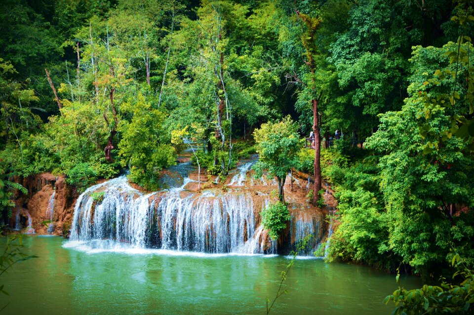 Green trees river