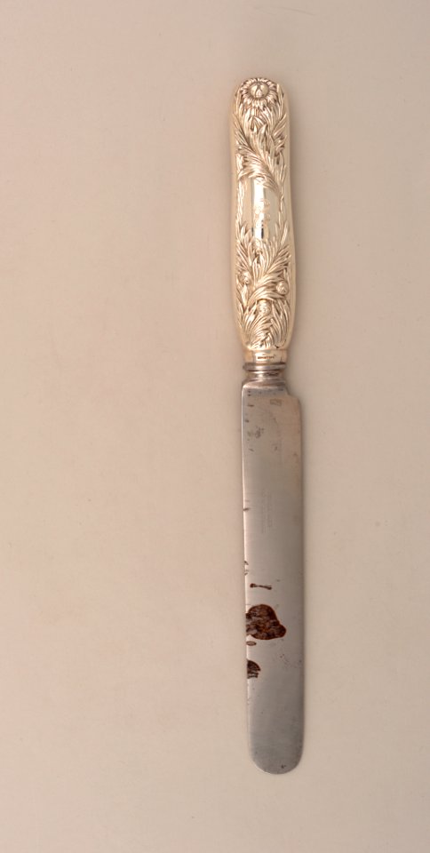 Chrysanthemum Dinner Knife, 1880–91 (CH 18419987)