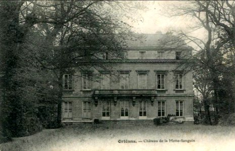 Château de la Motte-Sanguin, Orléans, Loiret, Centre, France photo