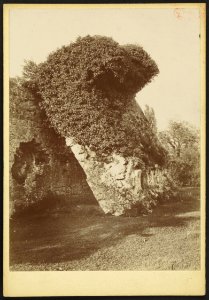 Château de la Trave - J-A Brutails - Université Bordeaux Montaigne - 0156
