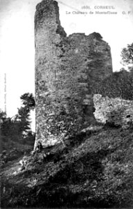 Château de Montafilan Tour en ruine