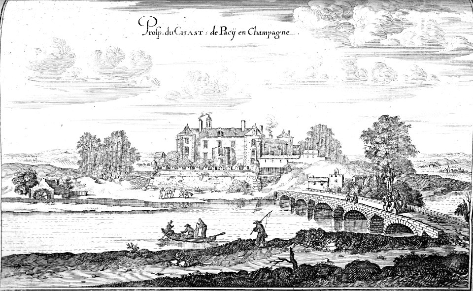 Château de Passy en Champagne 13643