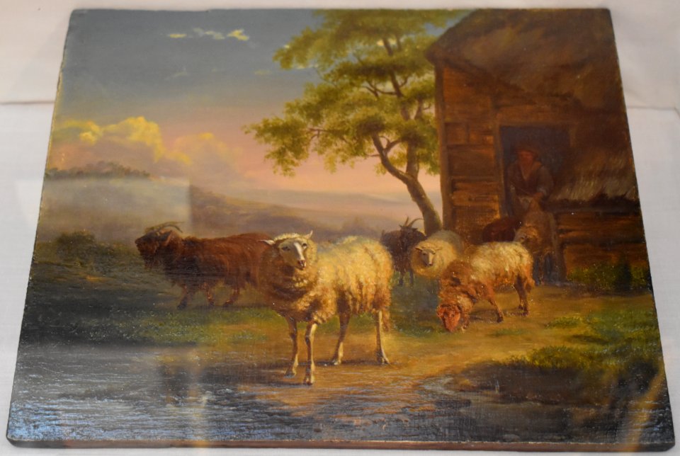 Chèvres et moutons