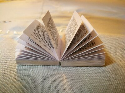 Hebrew brown book brown books