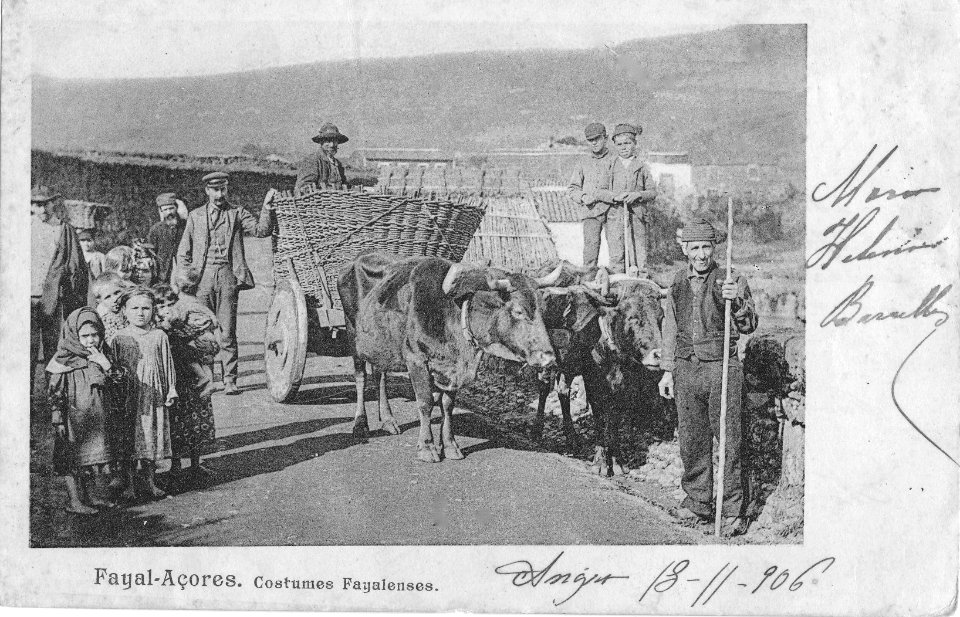 Costumes locais, ilha do Faial, Açores, Arquivo de Villa Maria, Angra do Heroísmo, Açores.