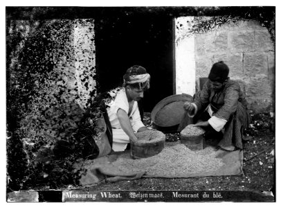 Costumes, characters and ceremonies, etc. Measuring wheat LOC matpc.07551
