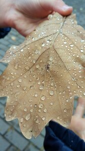 No one wet outdoors