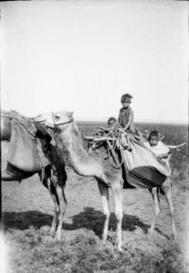 Costumes, characters, etc. Bedouin children on camel LOC matpc.15115