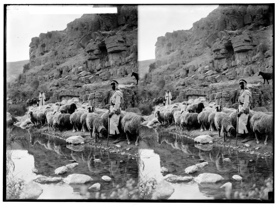 Costumes, characters, etc. 'Sheep beside still waters' LOC matpc.01286