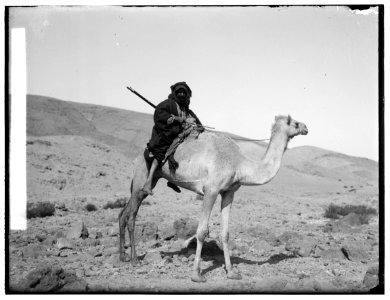 Costumes, characters, etc. Bedouin riding camel LOC matpc.00709