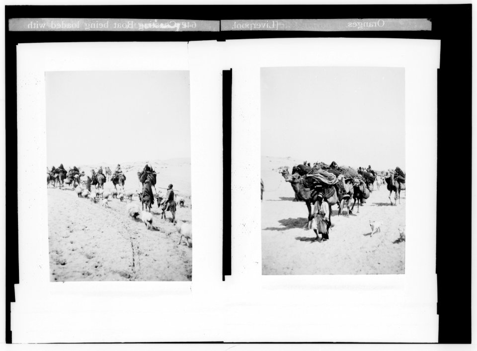 Costumes, characters, etc. Bedouin caravan moving ; Bedouin caravan approaching LOC matpc.01306